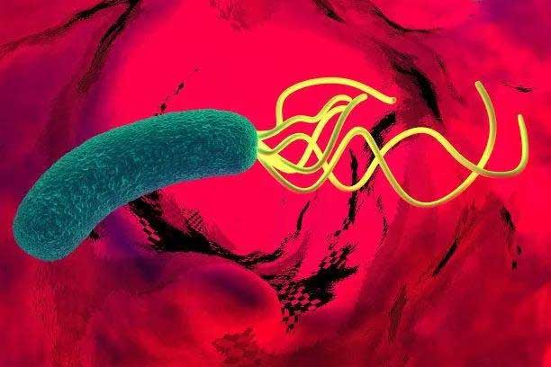 幽門螺桿菌治療后，一定要復(fù)查！不然，癌變了都不知道